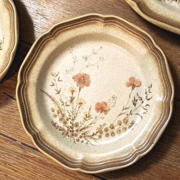 *SOLD* 8pc Mikasa Whole Wheat 'Jardiniere' plates - Picture 8 of 9